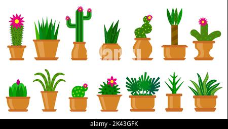 Kaktus und Sukkulente flache Icon Set. Verschiedene Formen von blühenden Kakteen mit Stacheln in Blumentöpfen. Grüne Zimmerpflanzen Kollektion. Cartoon Haus blühende Aloe Vera isoliert auf weißem Hintergrund Stock Vektor