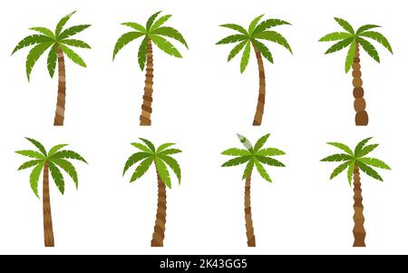 Palmenbaum-Set. Schöne bunte Cartoon tropische Strandpflanzen mit grünen Blättern und Stamm. Kokosnuss Dschungel kultiviert Gartenarbeit. Exotischer grüner Baum für Poster-Bannerkarte isoliert auf weißem Hintergrund Stock Vektor