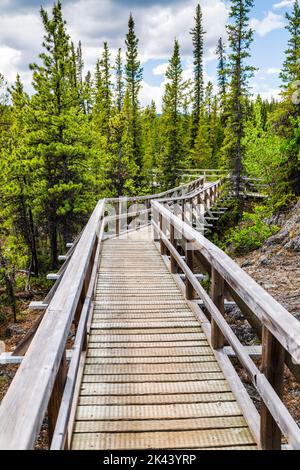Boardwalk; Rancheria Falls Recreation Site; Yukon Territories; Kanada Stockfoto