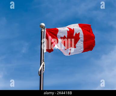 Die kanadische Flagge, die auf einem Fahnenmast mit einem strahlend blauen Himmel und weißen Wolken im Hintergrund fliegt Stockfoto