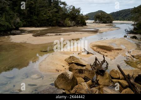 Bark Bay Mündung im Abel Tasman National Park, Tasman Region South Island, Aotearoa / Neuseeland. Stockfoto