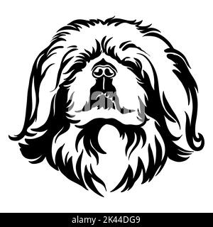 Pekingese Hund schwarz Kontur Porträt. Hundekopf in Vorderansicht Vektordarstellung isoliert auf weißem Hintergrund. Für Dekor, Design, Druck, Poster, Postk Stock Vektor