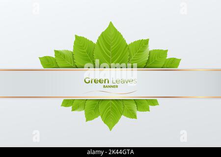 3D Grüne Blätter realistischer Vektor und Gold Luxus Banner, Minimal Szene für Produkte Schaufenster, Promotion Display, Öko-Umwelt.Sie können für Mark verwendet Stock Vektor