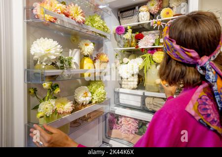 Kühlschrank voll mit verschiedenen cuted Blumen Stockfoto