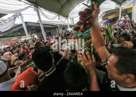 BOGOR, INDONESIEN - 25. September 2022: Einwohner des indonesischen Dorfes Cimande begrüßten die Geburt des Propheten Muhammad SAW durch eine Parade Stockfoto