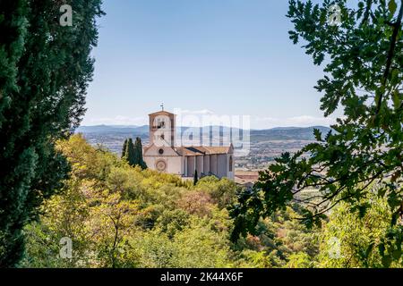 Blick auf die antike Basilika San Francesco, Assisi, Perugia, Italien, eingerahmt von Ästen Stockfoto