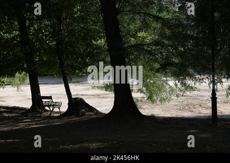 Einsame leere Bank im Cișmigiu Park, Bukarest, Rumänien, zwischen Bäumen, die über einen trockenen, leeren Teich ohne Wasser blicken Stockfoto