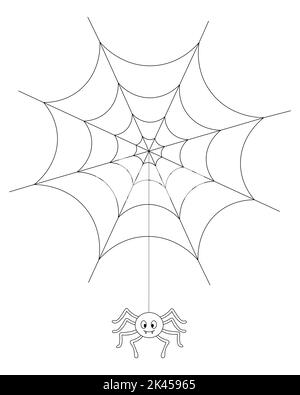 Die Spinne webt ein Netz. Das Insekt hängt an einem dünnen Faden. Vektorgrafik. Umriss auf einem isolierten weißen Hintergrund. Doodle-Stil. Malbuch Stock Vektor