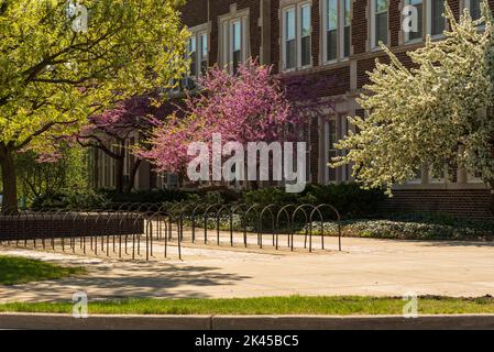 East Lansing MI - 14. Mai 2022: Fahrradständer vor dem alten Alten Gartenbau Stockfoto