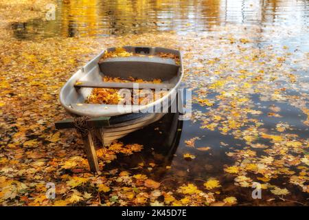 Farbenfrohe Herbstlandschaft. Holzboot auf dem See, übersät mit gefallenen gelben Blättern. Natürlicher, saisonaler Hintergrund Stockfoto