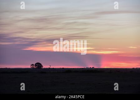 Pampas Sonnenuntergang , in der Provinz La Pampa Patagonien Argentinien. Stockfoto