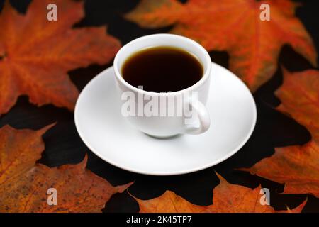 Weiße Tasse Kaffee oder Tee mit Untertasse auf roten Ahornblättern und schwarzem Tisch. Heißes Getränk bei Herbstwetter Stockfoto