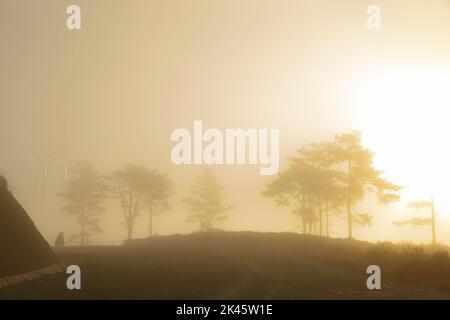 Die Sonne scheint am frühen Morgen durch den Nebel Stockfoto