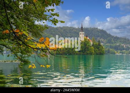 Blick auf eine Kirche auf einer Insel am Bleder See in Slowenien. Frühherbst, Nachmittag. Stockfoto