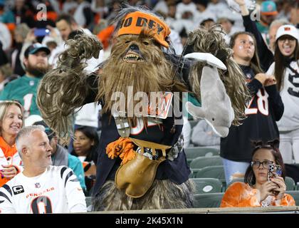 Cincinnati, Usa. 29. September 2022. Fans von Cincinnati Bengals jubeln in der zweiten Spielhälfte im Paycor Stadium am Donnerstag, den 29. September 2022 in Cincinnati, Ohio, um ihr Team gegen die Miami Dolphins an. Foto von John Sommers II/UPI Kredit: UPI/Alamy Live News Stockfoto