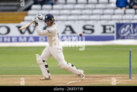 Luis Reece schlug für Derbyshire während eines County Championship-Spiels zwischen Derbyshire und Leicestershire Stockfoto