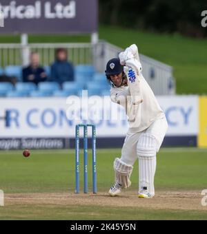 Wayne Madsen von Derbyshire klatterte während eines County Championship-Spiels gegen Leicestershire Stockfoto