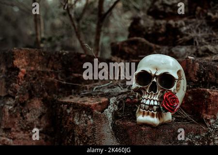 Ein beängstigender Schädel auf einer zerstörten Wand eines verlassenen Hauses, im Wald in der Dämmerung Stockfoto