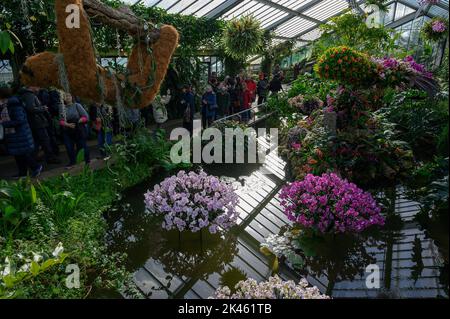 2019 Orchideenfest in Kew Gardens Stockfoto