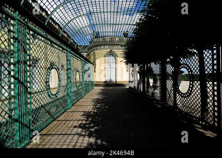 Park Schloss,Schloss Sanssouci Blauer Himmel Architektur Potsdam Brandenburg,Weltkulturerbe UNESCO Deutschland Europa Architektur, Barock, Bauen, sorglos, sorglos, Schloss, Jahrhundert, Kirche, evangelische Friedenskirche im Schlosspark sanssouci, Klassizismus, Kreuzgang, europa, berühmt, deutschland, historisch, Wahrzeichen, geschmückt, Palast, potsdam, preußen, Rokoko, sanssouci, Skulptur, Anblick, Sehenswürdigkeiten, Treppe, Treppe, Statue, Terrasse, Foto Kazimierz Jurewicz Stockfoto