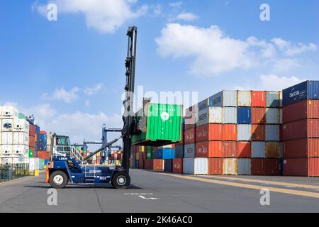 Transportbehälter Transport per Gabelstapler für die Verteilung Hafen von Felixstowe Container Port Felixstowe Port Felixstowe Suffolk England UK GB Europa Stockfoto