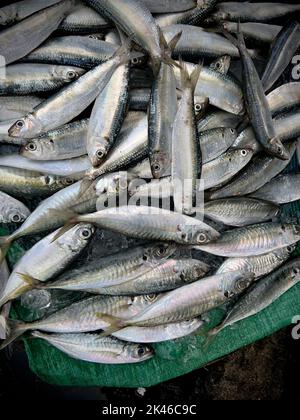 Cho Cay, Dalat Market, Dalat, Provinz Lam Dong, Vietnam Stockfoto