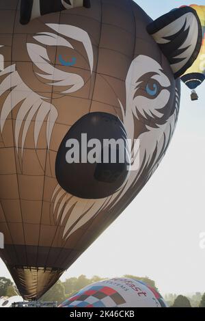 „Bristol Balloon Fiesta 2022“, „Heißluftballons“, „Wes the Wolf“, „Morgenflug“, „Longleat Balloons“, „Ballonflug“, „Massenaufstieg“ Stockfoto