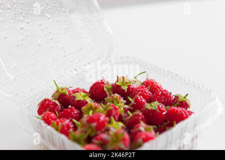 Frische Himbeeren in Plastikbox isoliert auf weißem Hintergrund Stockfoto