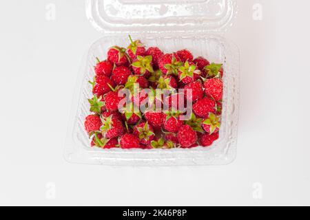 Frische Himbeeren in Plastikbox isoliert auf weißem Hintergrund Stockfoto