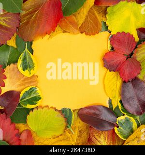 Kreatives Layout aus getrockneten Blättern im Herbst und Papierkarte. Flach liegend. Herbst Natur verlässt Konzept. Stockfoto
