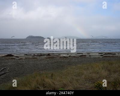 Regenbogen Aus Petone Foreshore Stockfoto