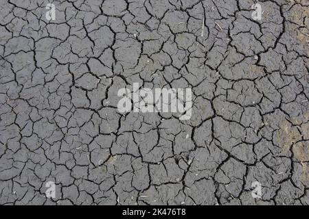 Trockenheit, Risse im Boden, kein Wasser, Mangel an Feuchtigkeit. Getrockneter und rissiger Boden, rissige Oberfläche, trockene Erde in trockenen Gebieten. Stockfoto