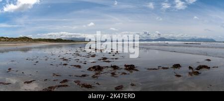 Ein Panoramablick auf den endlosen goldenen Sandstrand in Ballyheigue mit Rotalgen im Vormund Stockfoto