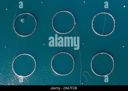 Eine Top-Down-Ansicht der Aquakultur Fischfarmkäfige und Netze in tiefblauem Wasser Stockfoto