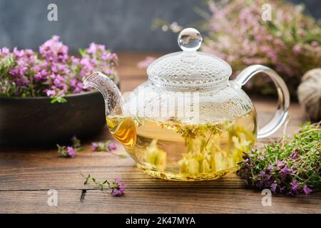 Glas-Teekocher mit gesundem Kräuterthymian-Tee, Heilkräutern, Trauben von heilendem Thymian und Heidekraut-Blüten auf dem Tisch. Alternative Kräutermedizin. Stockfoto
