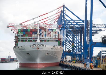 OOCL Japan Containerschiff im Deepwater Container Terminal DCT in Danzig, Polen © Wojciech Strozyk / Alamy Stock Photo Stockfoto