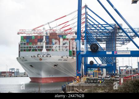 OOCL Japan Containerschiff im Deepwater Container Terminal DCT in Danzig, Polen © Wojciech Strozyk / Alamy Stock Photo Stockfoto