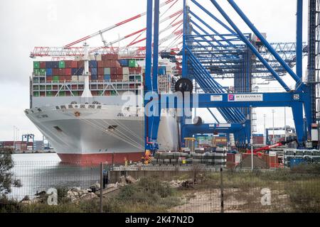 OOCL Japan Containerschiff im Deepwater Container Terminal DCT in Danzig, Polen © Wojciech Strozyk / Alamy Stock Photo Stockfoto