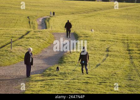 29. September, 2022 Epsom Downs, Surrey, UK Einheimische laufen mit ihren Hunden und trainieren auf den Downs oberhalb von Epsom - der Stadt Surrey, wo jährlich das berühmteste Pferderennen der Welt, das Derby, ausgetragen wird. Stockfoto