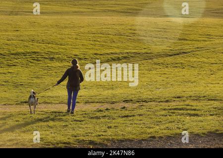 29. September, 2022 Epsom Downs, Surrey, UK Eine einheimische Frau geht mit ihrem Hund auf den Downs über Epsom - der Stadt Surrey, wo jährlich das berühmteste Pferderennen der Welt, das Derby, ausgetragen wird. Stockfoto