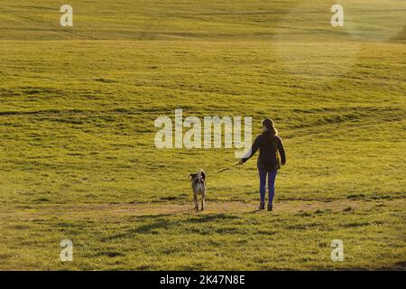 29. September, 2022 Epsom Downs, Surrey, UK Eine einheimische Frau geht mit ihrem Hund auf den Downs über Epsom - der Stadt Surrey, wo jährlich das berühmteste Pferderennen der Welt, das Derby, ausgetragen wird. Stockfoto