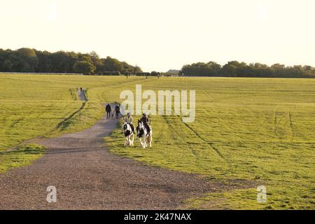 29. September, 2022 Epsom Downs, Surrey, UK Ein paar lokale Reiter gehen auf ihren Pferden und andere trainieren auf den Downs oberhalb von Epsom - der Stadt Surrey, wo jährlich das berühmteste Pferderennen der Welt, das Derby, stattfindet. Stockfoto