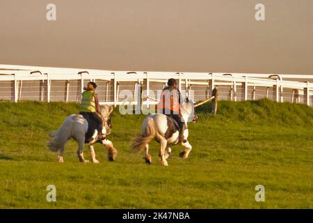 29. September, 2022 Epsom Downs, Surrey, UK Einige lokale Reiter galoppieren ihre Pferde auf den Downs über Epsom - der Stadt Surrey, wo jährlich das berühmteste Pferderennen der Welt, das Derby, stattfindet. Stockfoto