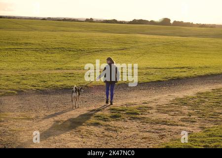 29. September, 2022 Epsom Downs, Surrey, UK Eine einheimische Frau geht mit ihrem Hund auf den Downs über Epsom - der Stadt Surrey, wo jährlich das berühmteste Pferderennen der Welt, das Derby, ausgetragen wird. Stockfoto