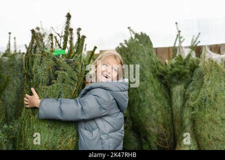 Kleines Mädchen wählt einen Weihnachtsbaum auf dem Markt. Stockfoto