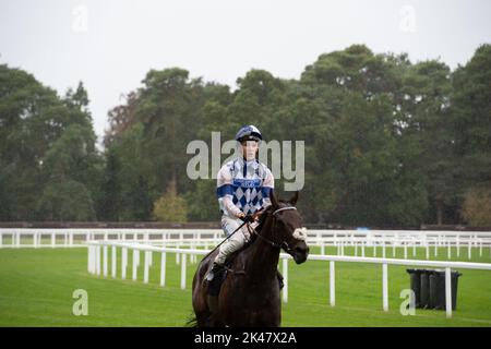 Ascot, Bergen, Großbritannien. 30.. September 2022. Pferd Persian Royal, das von Jockey Harry Davies nach dem Reiten in der Smart Signage Display Solutions Handicap Classified Stakes auf der Ascot Racecourse gefahren wurde. Quelle: Maureen McLean/Alamy Live News Stockfoto