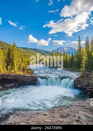 Schafe Fluss fällt in den Rocky Mountains, der Südwesten Alberta Stockfoto