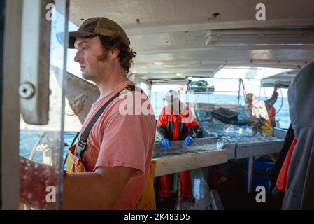 Portland, Maine, USA. 28. September 2022. Ein Fischer, der an Bord eines kommerziellen Fischerboots vor der Küste von Maine auf das Meer schaut; hinter ihm machen auch seine Mitbesatzungsmitglieder eine Pause vom Entwirren der Netze. An Bord eines Gillnet-Fischerboots schleppen die Crew ihren Fang von Seeteufel, pollock und Kabeljau von den frühen Morgenstunden bis spät in die Nacht. Die Fischereiindustrie in Maine hat vor kurzem einen Schlag mit einer neuen Reihe von Beschränkungen für den Fischfang genommen und die Umweltorganisation Seafood Watch empfiehlt den Menschen, den Verzehr von amerikanischem Hummer zu vermeiden. Diese Auflistung und Verordnung po Stockfoto