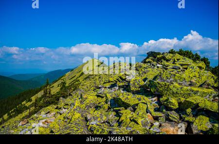 Nationalpark Karpaten, Region Iwano-Frankovsk, Ukraine Stockfoto