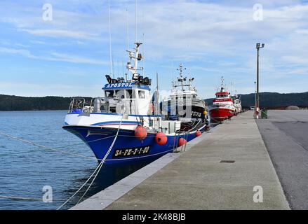 Hafen- und galizische Fischerboote bei Rias Baixas in der Region Galicien. Camariñas, Spanien. November 28, 2020. Stockfoto